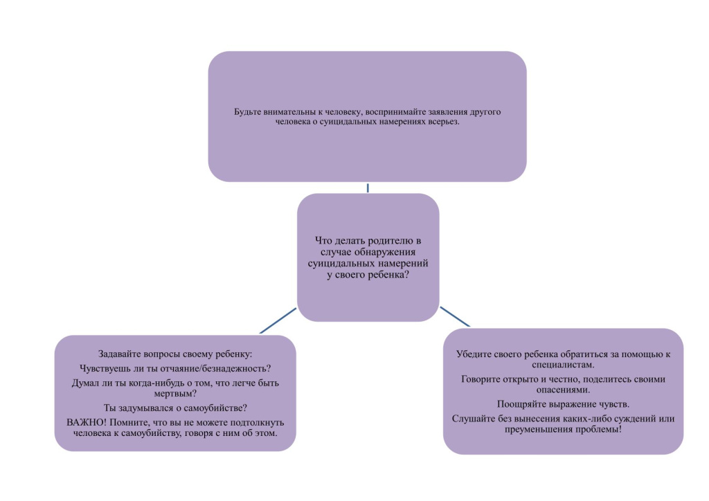 На сайте по ссылке Социально-психологическое сопровождение-12.jpg